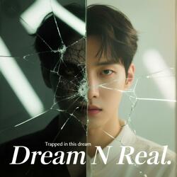 Dream N Real