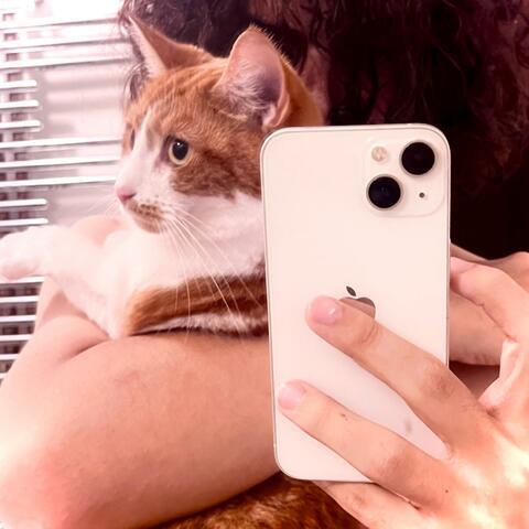 shout me for haze bro