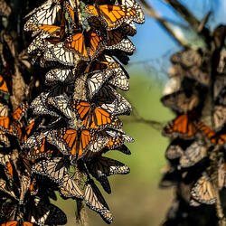 God alone, to You I belong VII