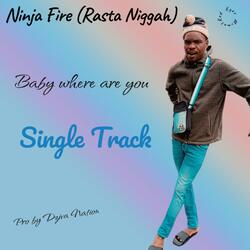 Ninja Fire _-_ Babie Where are you