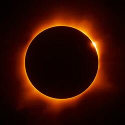 Blackout News (Original TV Soundtrack)