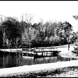 talking in your sleep