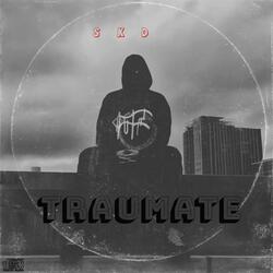 SKD TRAUMATE