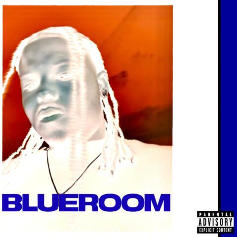 BLUEROOM VIBEZ
