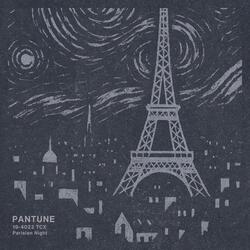 Parisian Night
