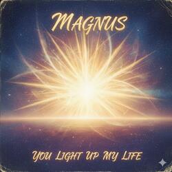 You Light Up My Life
