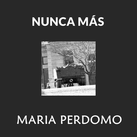 NUNCA MÁS - NEVER AGAIN