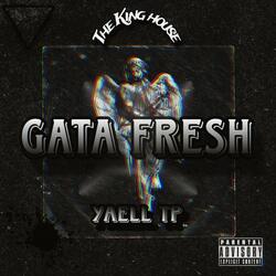 Gata Fresh X Yaell Tp