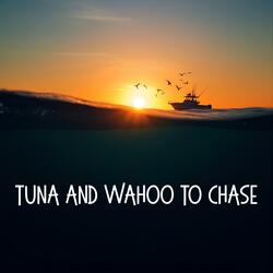 Tuna And Wahoo To Chase