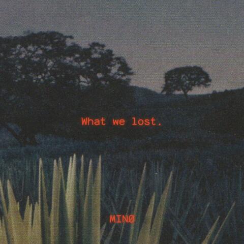 What we lost (Instrumental)
