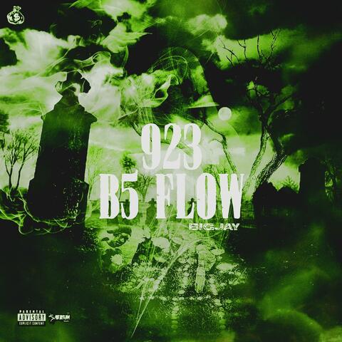 923(B5 Flow)