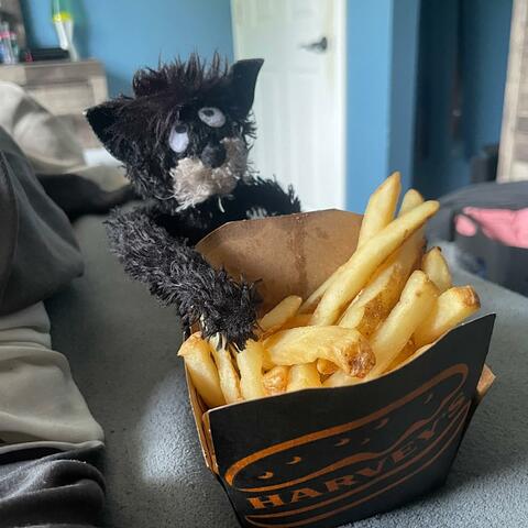 music from this past few months (very varied)