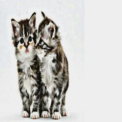 ⁺‧₊˚tu me besas bn ₊‧⁺