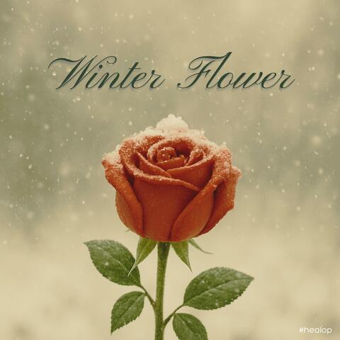 Winter Flower