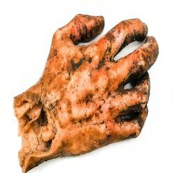 A Killers Severed Hand // Horror Story Soundtrack