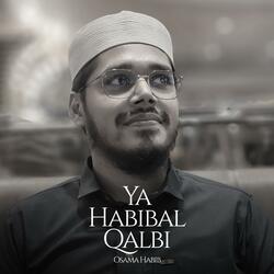 Ya Habibal Qalbi (Slowed)