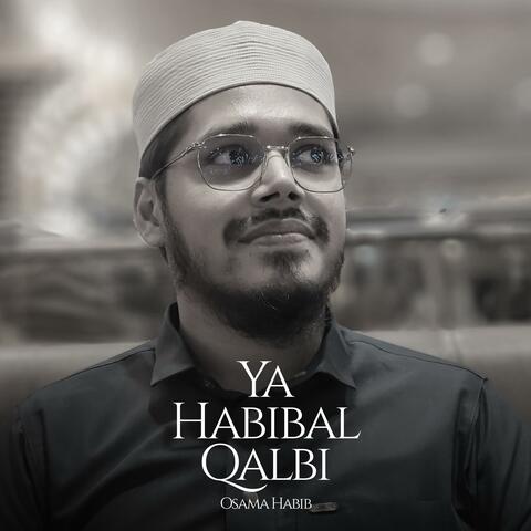 Ya Habibal Qalbi (Slowed)