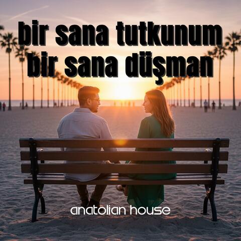 Bir Sana Tutkunum Bir Sana Düşman