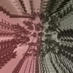 I Just Want You To Be So Happy