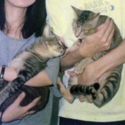 ของขวัญของเรา