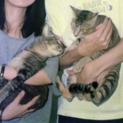 ของขวัญของเรา