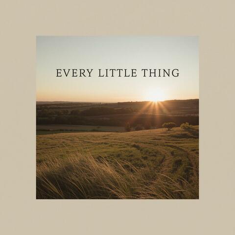 Every Little Thing