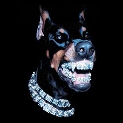 hablan mucho (feat. Divoz)