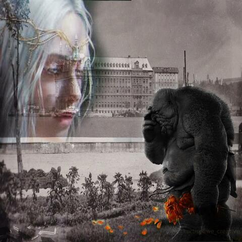 Çok Kitap Okumak Elf Aşık Olmak