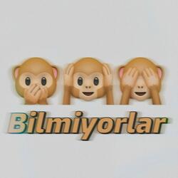 Bilmiyorlar
