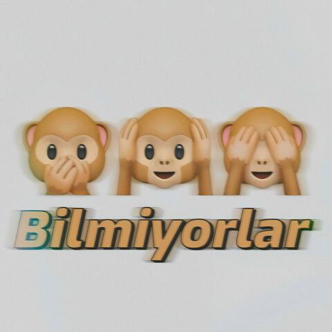 Bilmiyorlar