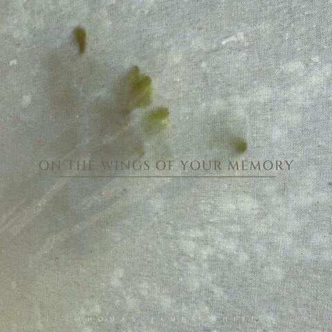 on the wings of your memory