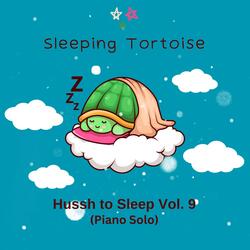 Moonlight on Snow (Piano Solo)