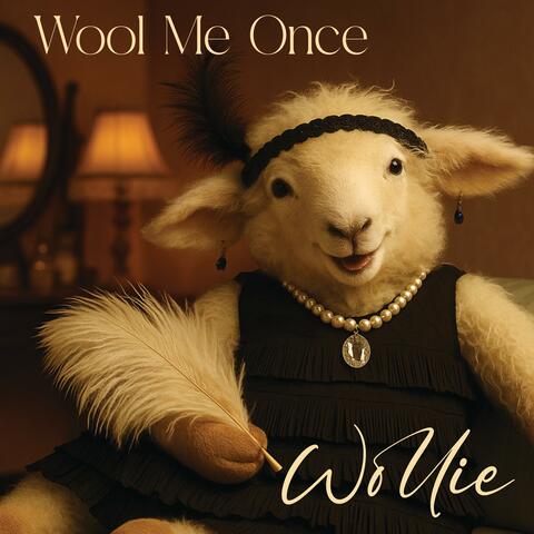 Wool me Once