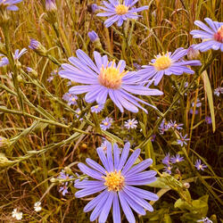 Ain't What You're Thinkin'