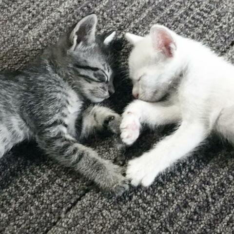 hold ur hand (feat. lephina)