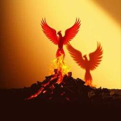 Eres Mas que tu Dolor