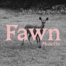 Fawn