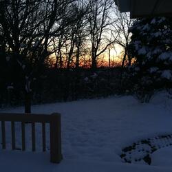 Schlapplin' at Porters Live (Live)