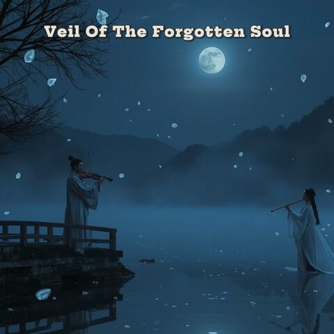 Veil Of The Forgotten Soul