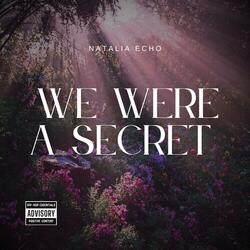 We Were A Secret