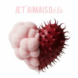 Je t’aimais déjà