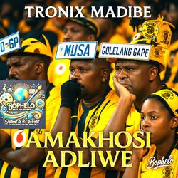 Amakhosi Adliwe Trans House Mix (Radio Edit)