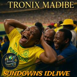 Idliwe Ka boYellow (Radio Edit)