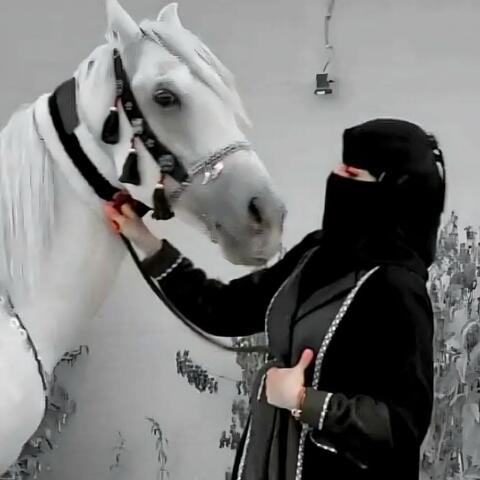 في عرب وين اتلقاقيم