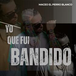 yo que fui bandido