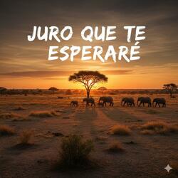 Juro que te esperare