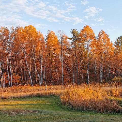 Quand Reviendras-Tu?