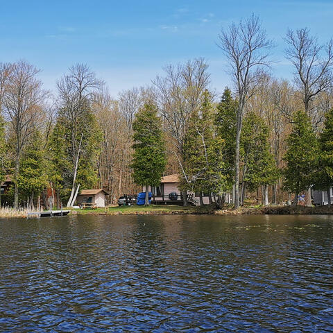 When Will You Walk Back?