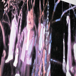 bodies, washing up from shore