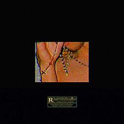 for_granted. (feat. camm!)